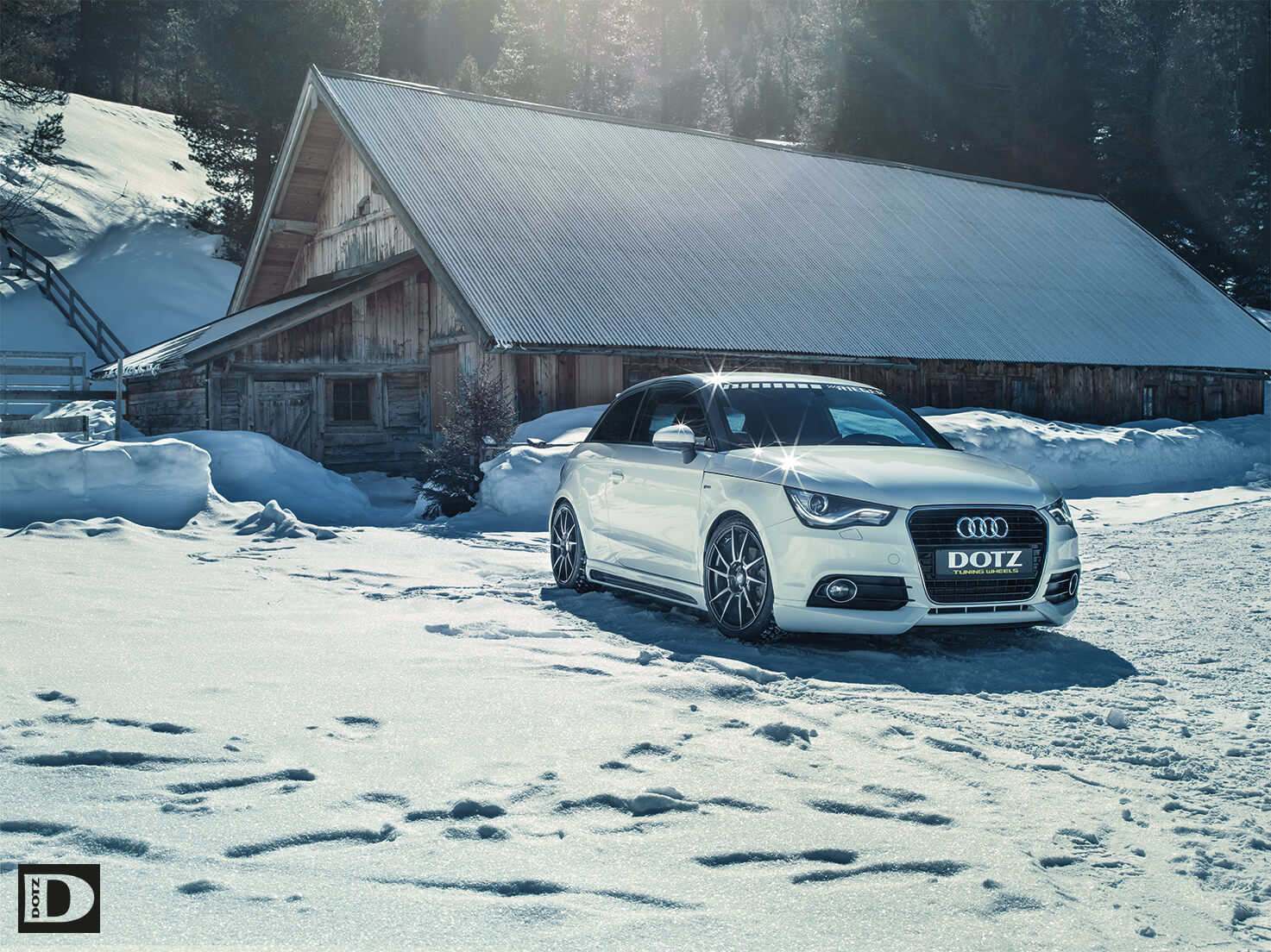 DOTZ Kendo dark in Winter