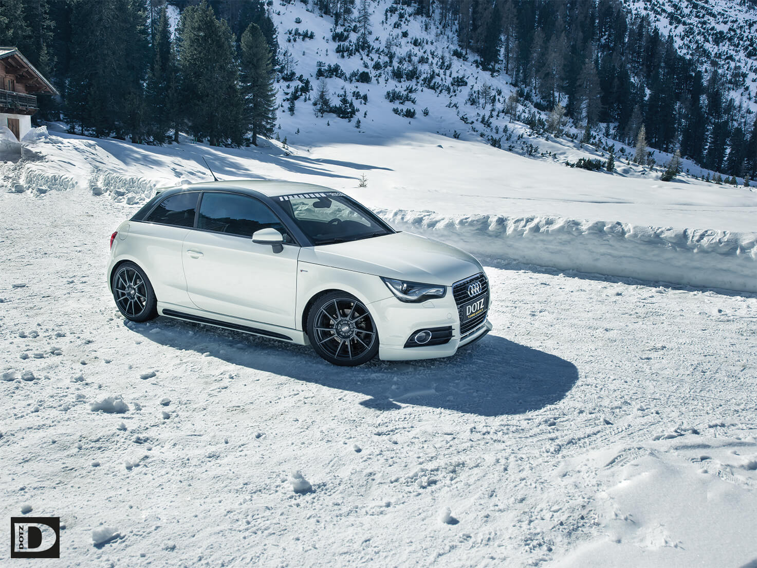 DOTZ Kendo dark on Audi S1