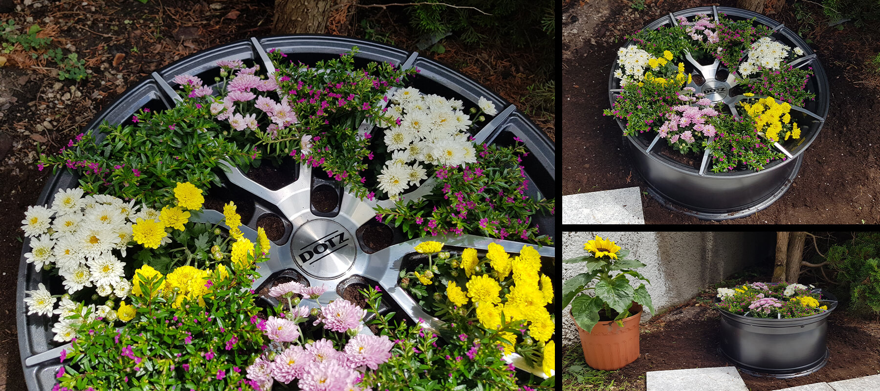 Flowerpot out of DOTZ Misano dark